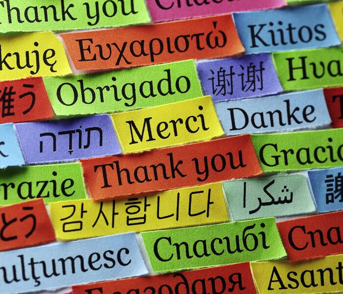 Modern Foreign Languages * Image