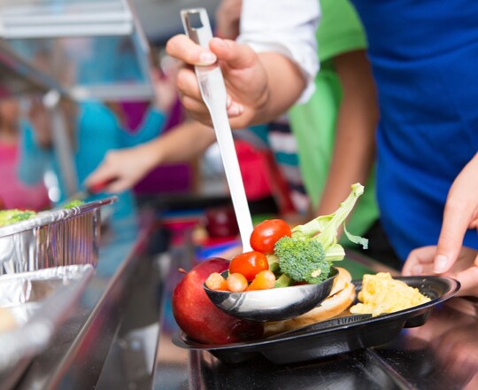 School Meals & Menu Image