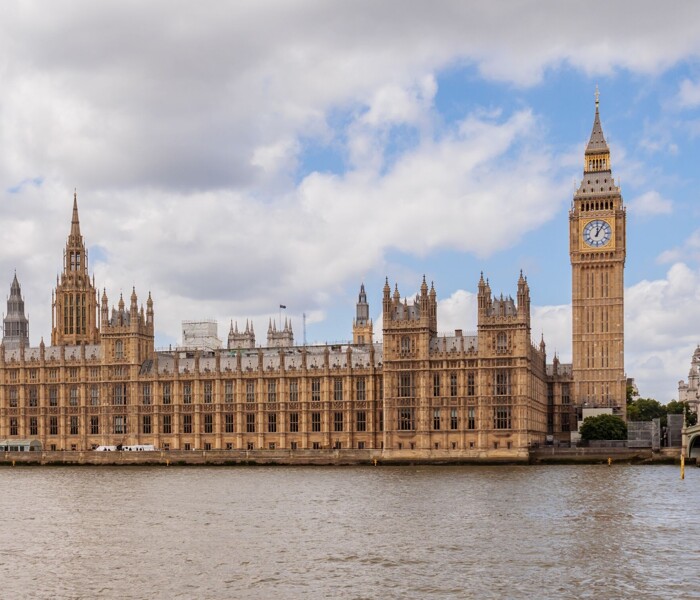 Government and Politics * Image