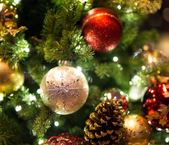 Festive End of Term Arrangements 2025 Image