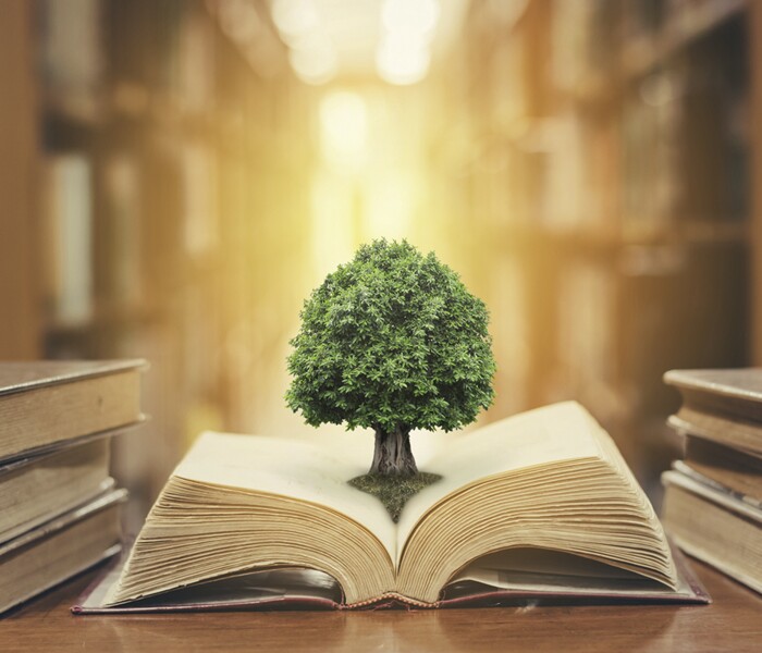 Religious Studies Image