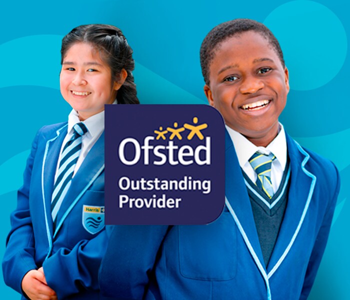 Outstanding in Every Category Image