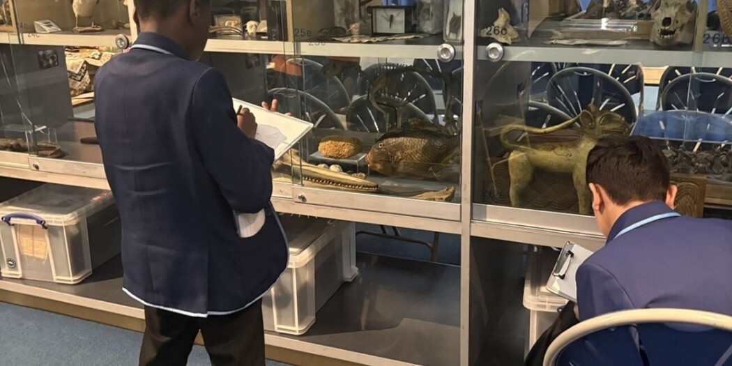 Artefacts and Masquerading at the Horniman Museum