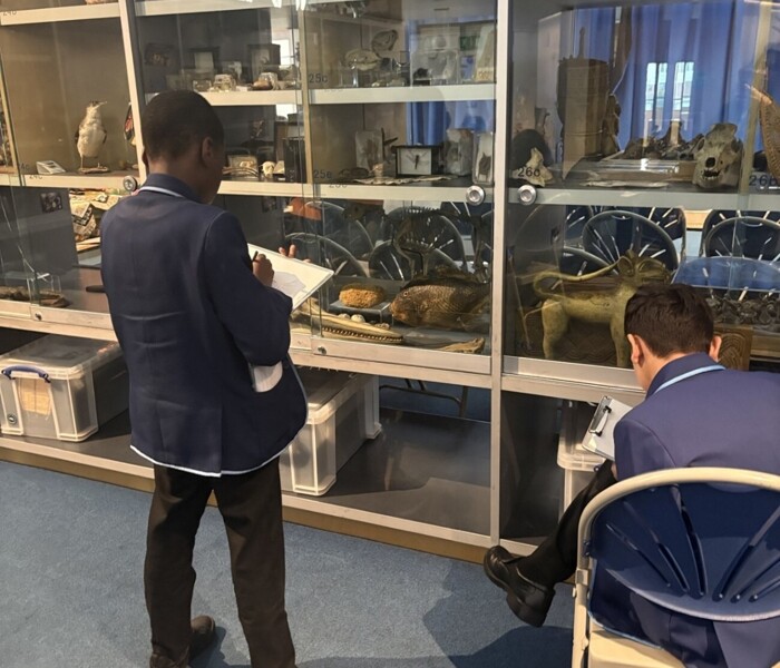 Artefacts and Masquerading at the Horniman Museum Image