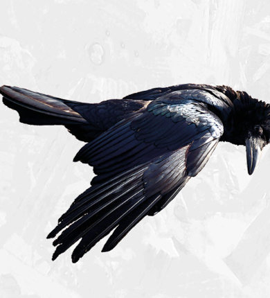 The Welkin theatre visit 16.12.2025