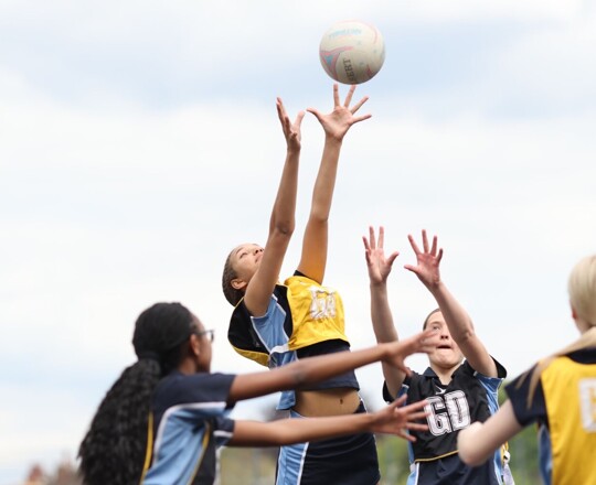 Sport Fixtures Image