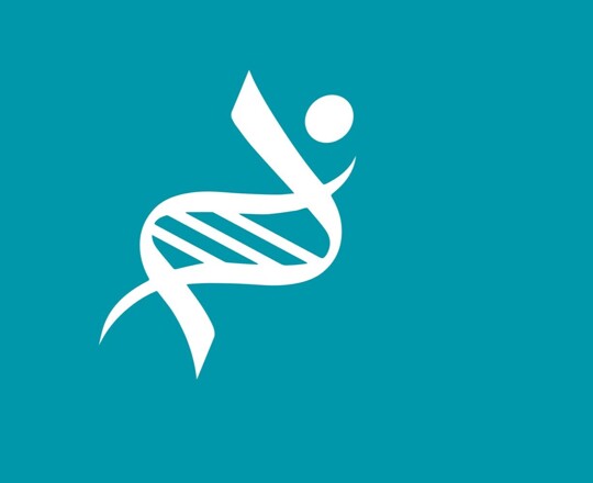 Year 7/8/9 Assessments & Revision Image