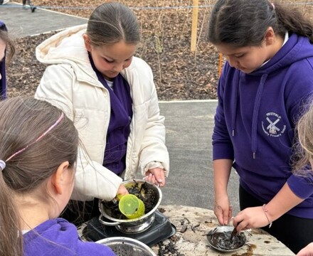 165ef9b1 07c0 478a 937c 8ebfbcff504f