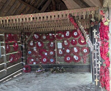 PXL 20250624 102905723