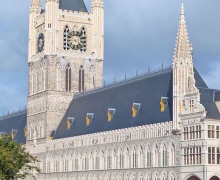 PXL 20250624 065211154