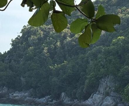 411588f8 d601 4b3e 8839 6c97f894eea6