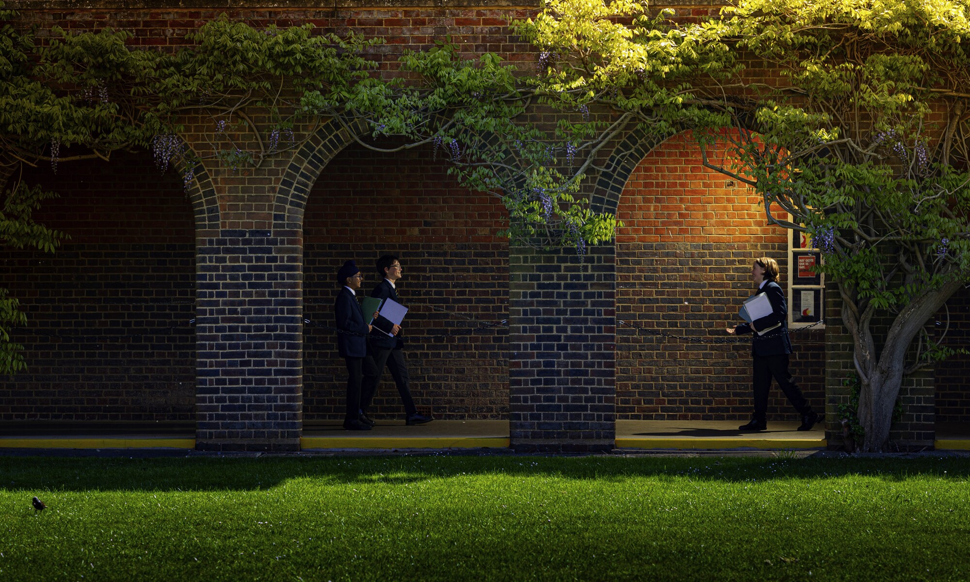 Hitchin Boys' School pupils on the school grounds