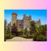 Yr 1 arundel castle