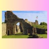 Yr 4 hastings castle