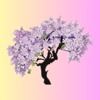 Elp lilac