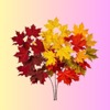 Elp maple