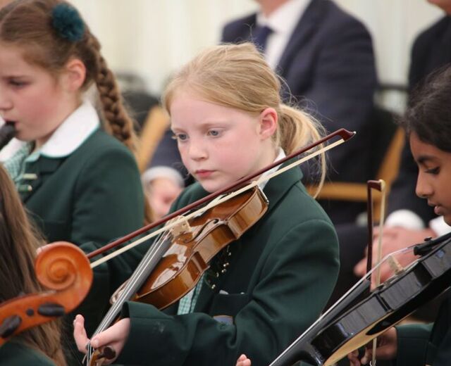 Welcome to our new Oak-Tree website!