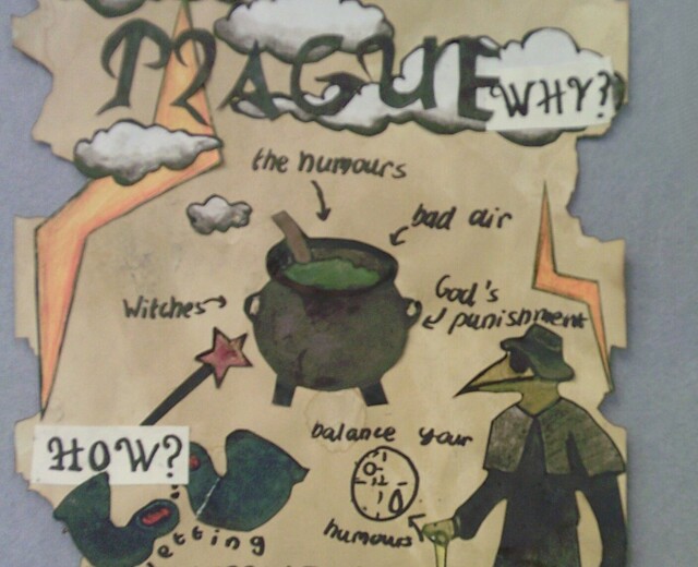 Year 11's Science GCSE Investigations Image