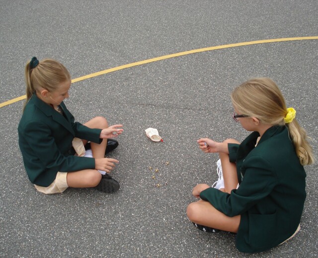 Year 4B play Roman game of 'Jacks' Image