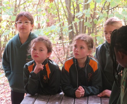 IMG 4943