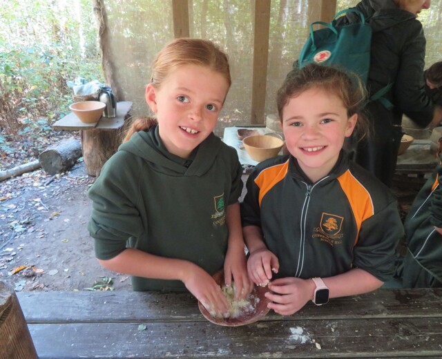 Year 4 Celtic Harmony Image