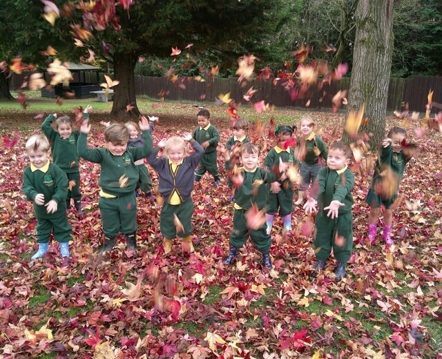 Autumn Fun in Upper Kindergarten Cambridge Image