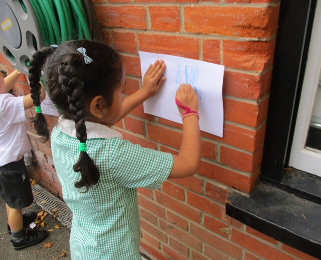 Owls look at outdoor patterns Image