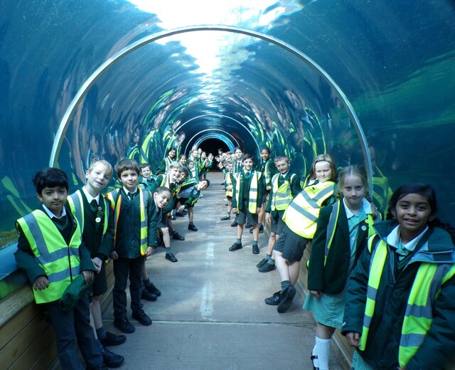 Year 4 trip to Colchester Zoo Image