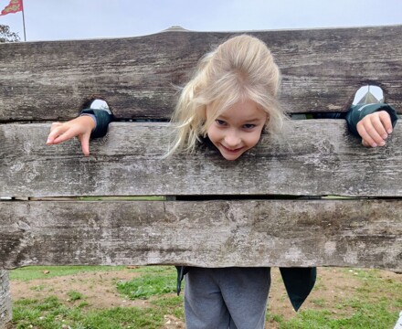 IMG 20251009 110518~2