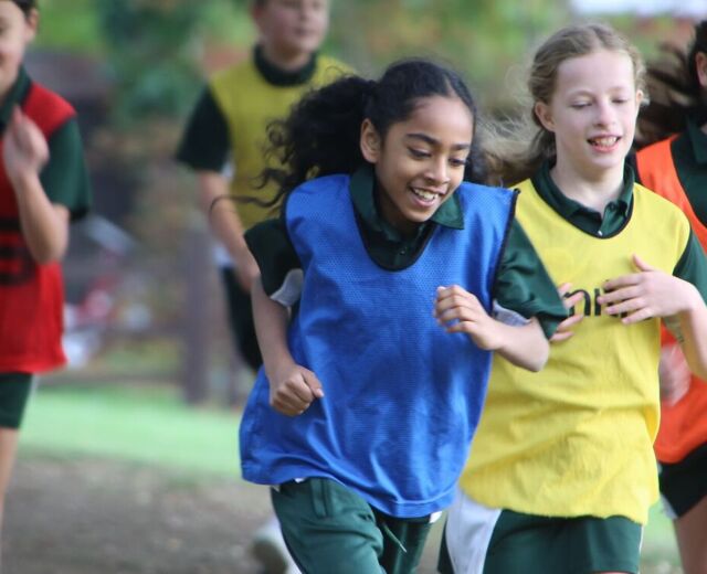 House Cross Country Image