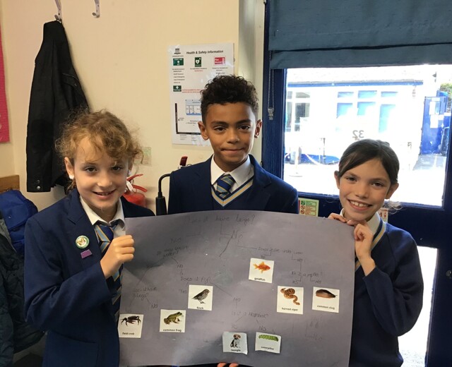 Year 4 Science - Grouping Animals Image