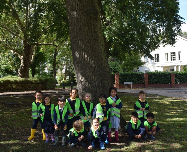 Early Years start Forest School Image