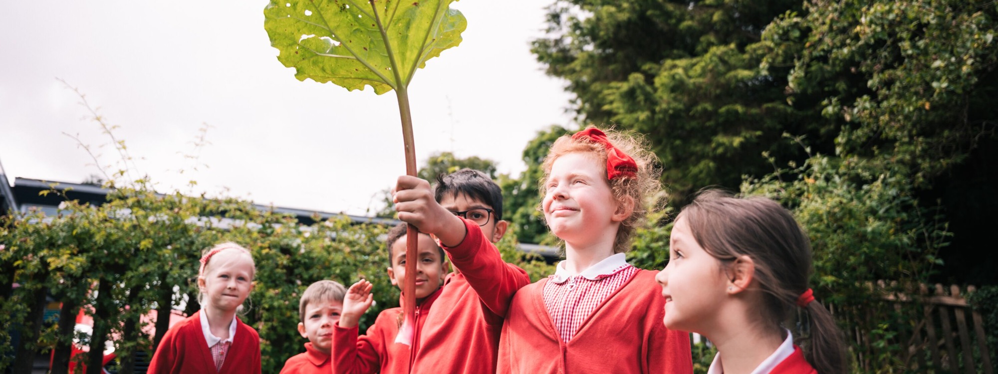 Polesden Lacey   HQ 23