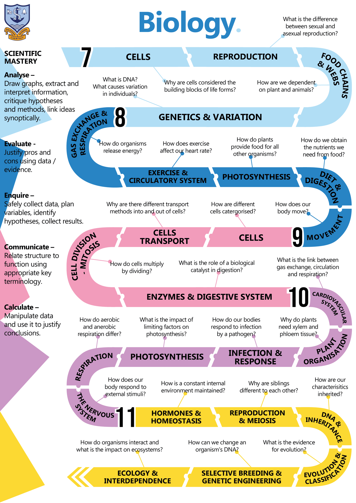 Biology C Map 2024 25 (KS3,KS4)