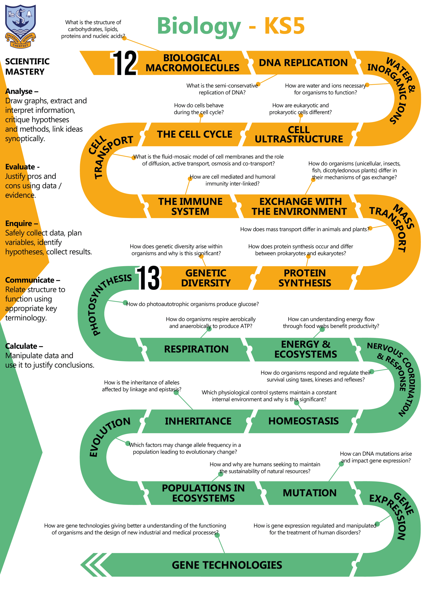 Biology KS5 C Map 2025