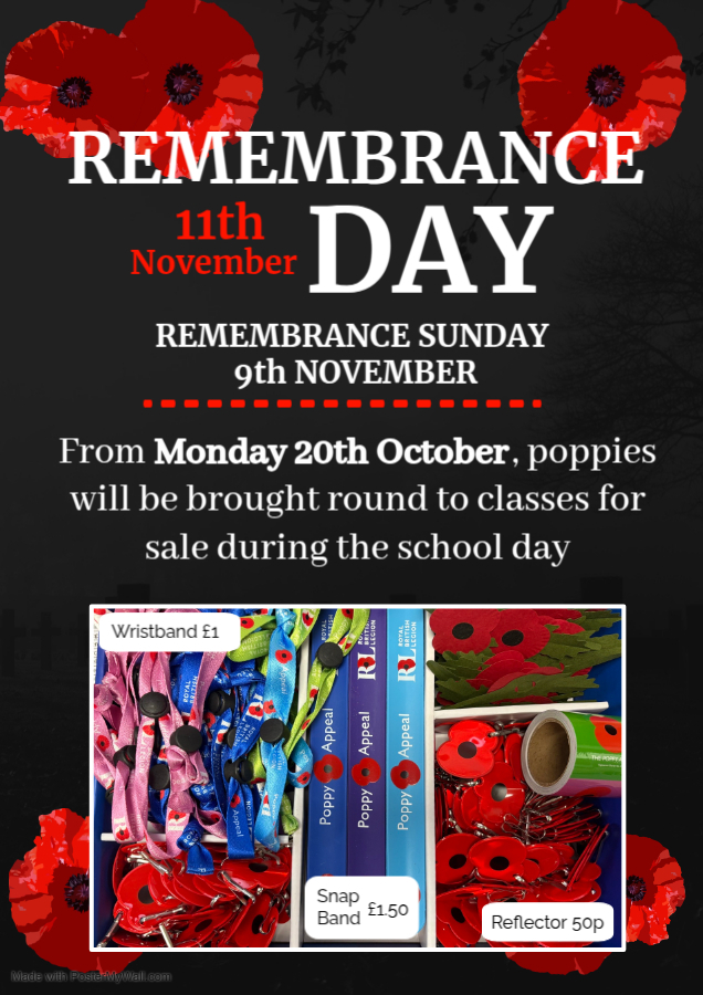 Poppies Rememberance Day