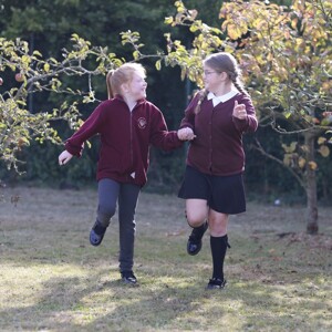 Welcome to our new website!