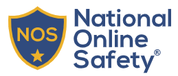 National Online Safety Logo