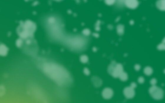 CLICK HERE to get your Christmas Panto Tickets