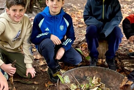 3bb560e2 e67b 4bed b4bd 046987c327df (1)