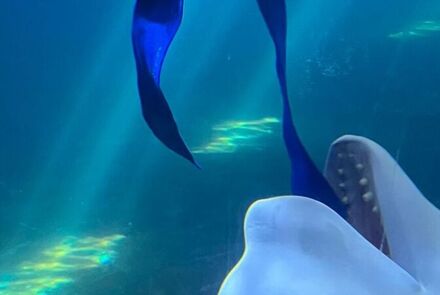 9766fc9d 09dd 4f2e 8ee7 e3765165f1af