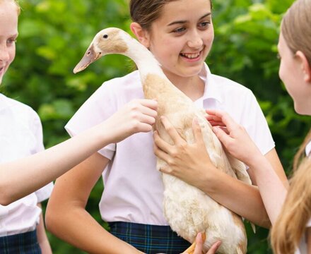 St augustines priory 28 june 2023 navy studios school photography 148of230