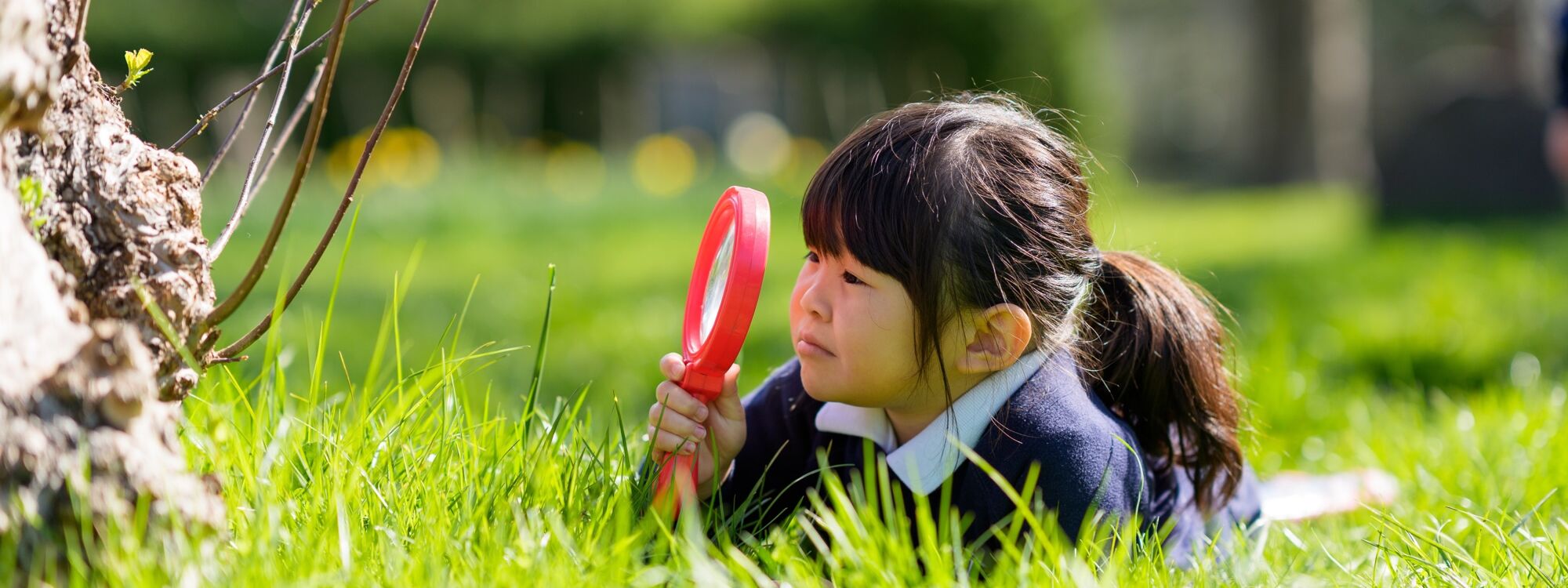 Header Image 1