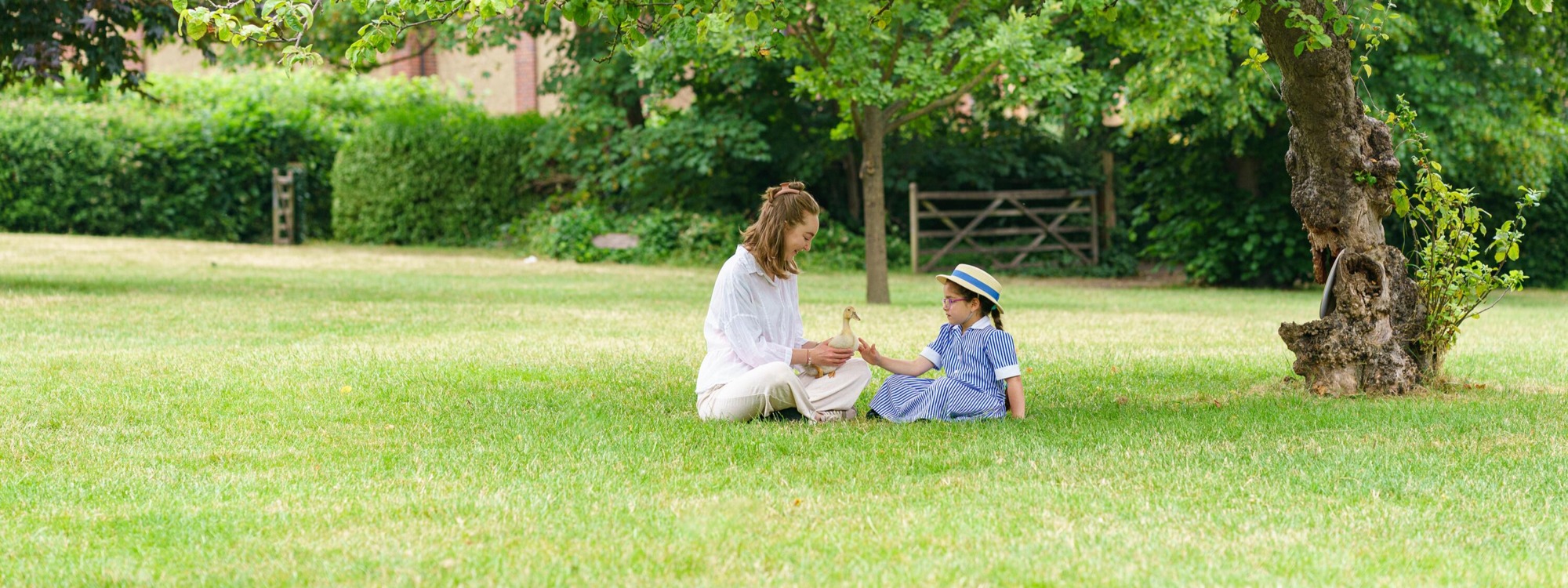 Header Image 1