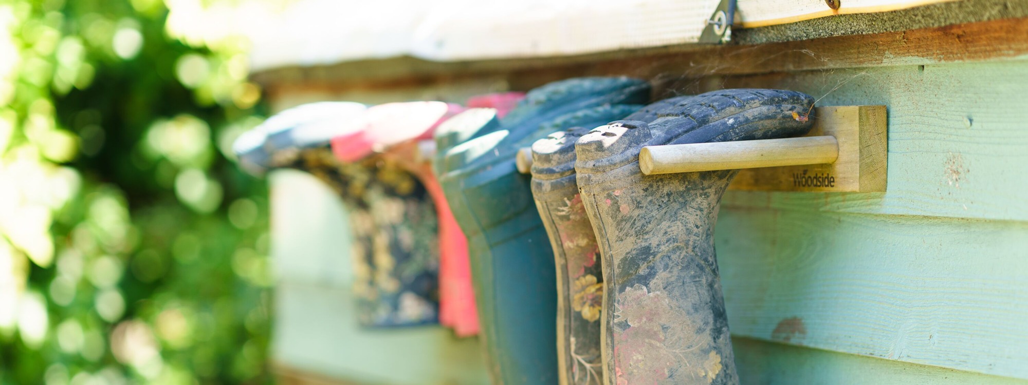 Header Image 1