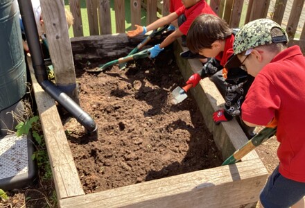 Bournemouth park academy pupils forest school