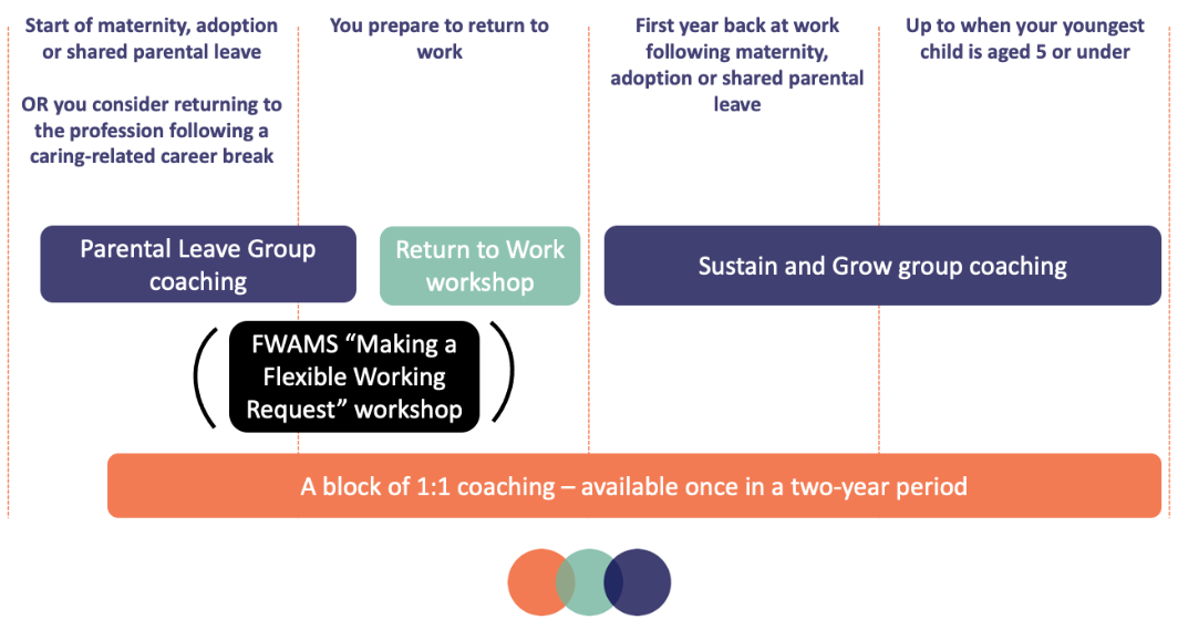 Mtpt cradle to classroom