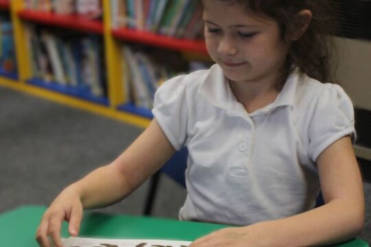 Ks1 reading 2