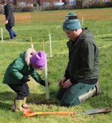 Planting 4