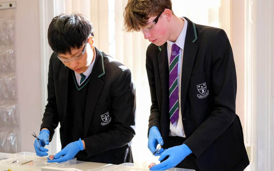 Biology Image